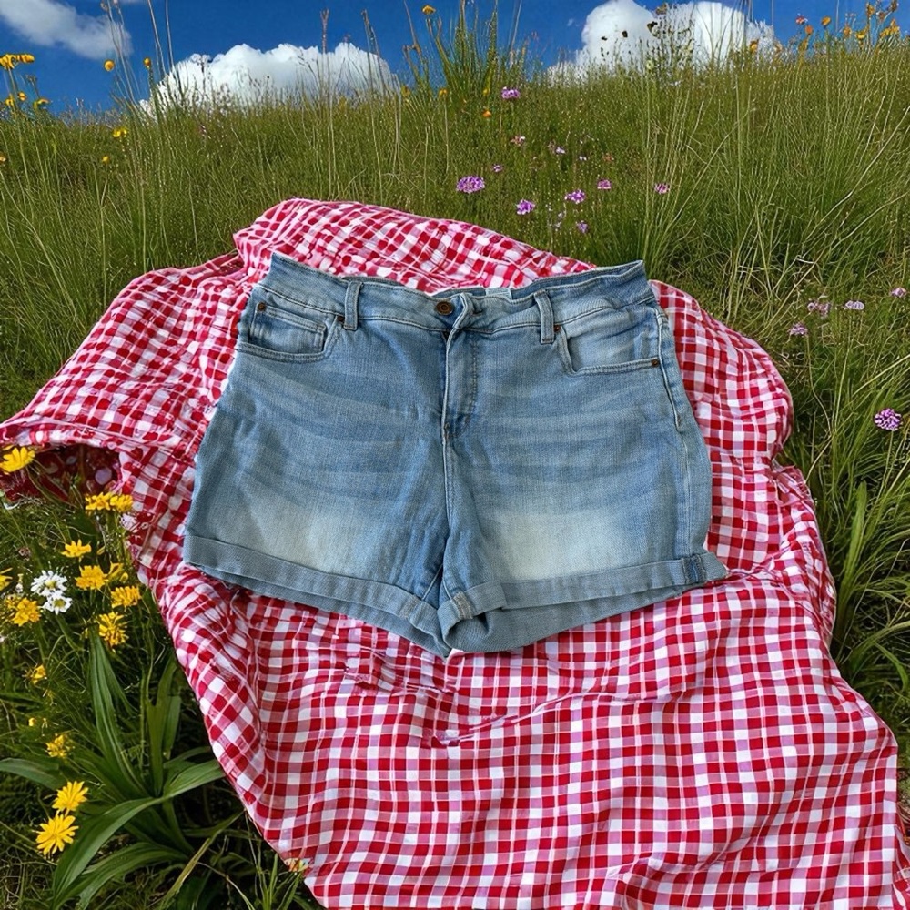 Time and Tru Classic Blue Jean Shorts GUC